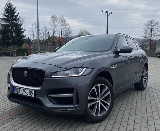 jaguar podkarpackie Jaguar F-Pace cena 97800 przebieg: 140000, rok produkcji 2017 z Dębica